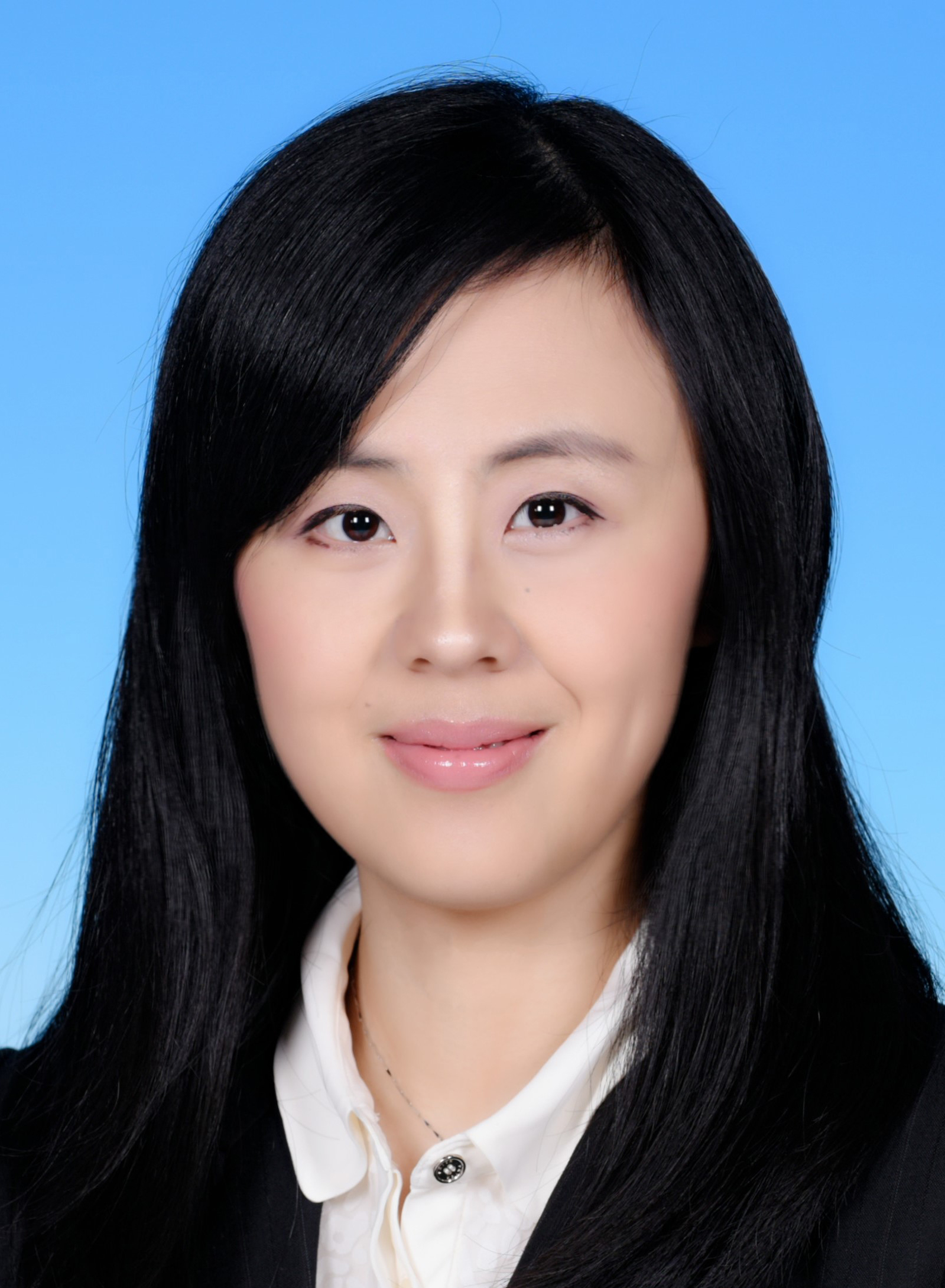 Prof. Yiwen WANG